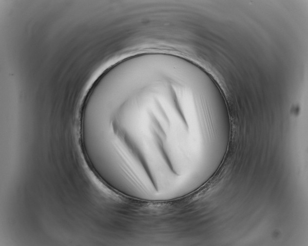 X0000099461531200805301523