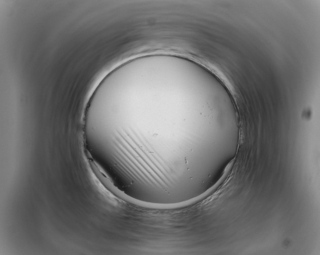 X0000099461532200805301523