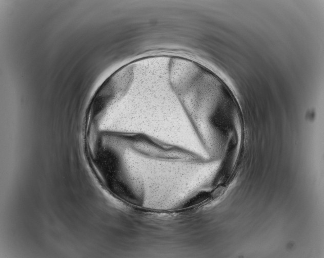 X0000099461533200805301523