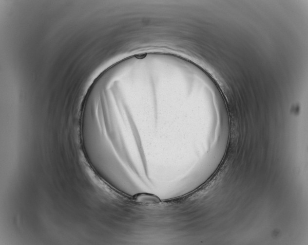 X0000099461534200805301523