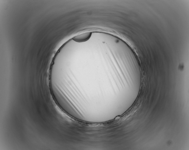 X0000099461535200805301523