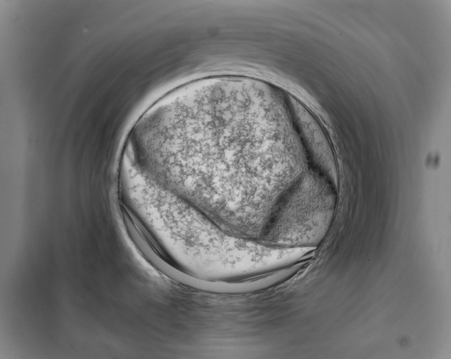 X0000099461536200805301523