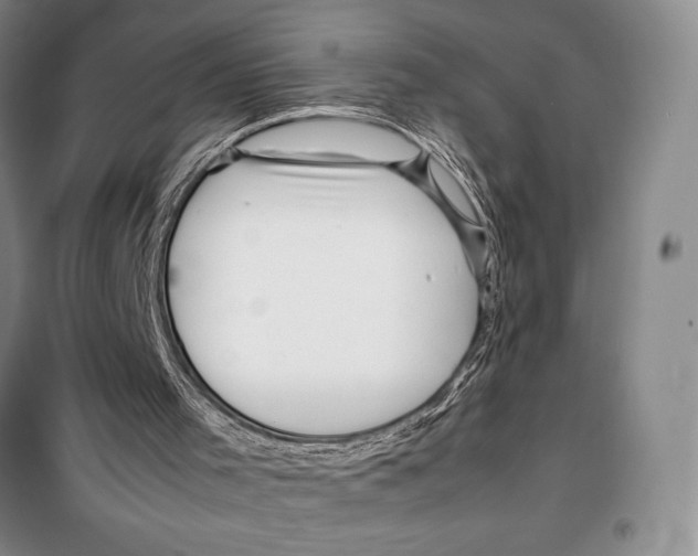 X0000099460001200806061140