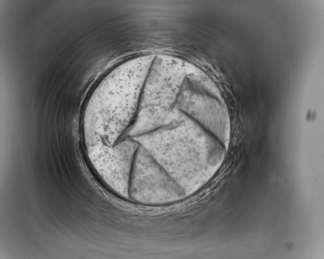 X0000099460002200806061140