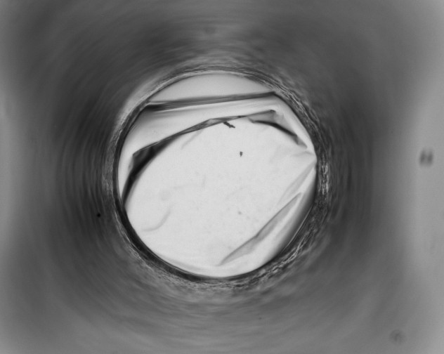 X0000099460004200806061140