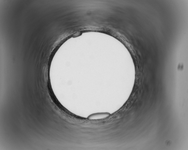 X0000099460011200806061140