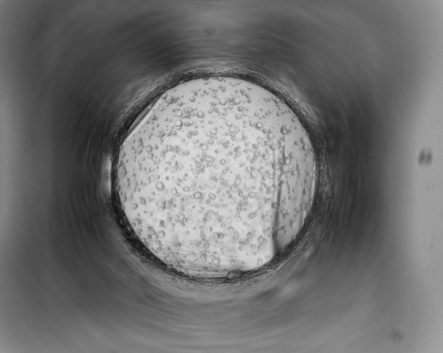 X0000099460014200806061140