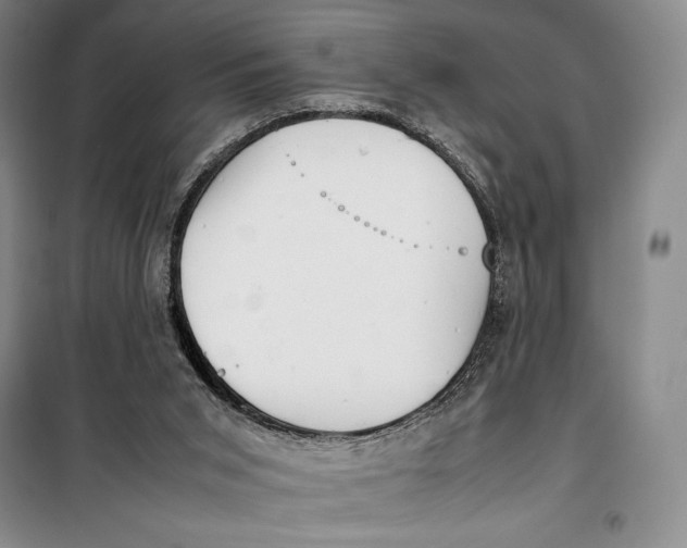 X0000099460015200806061140