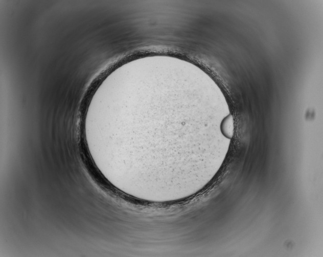 X0000099460016200806061140