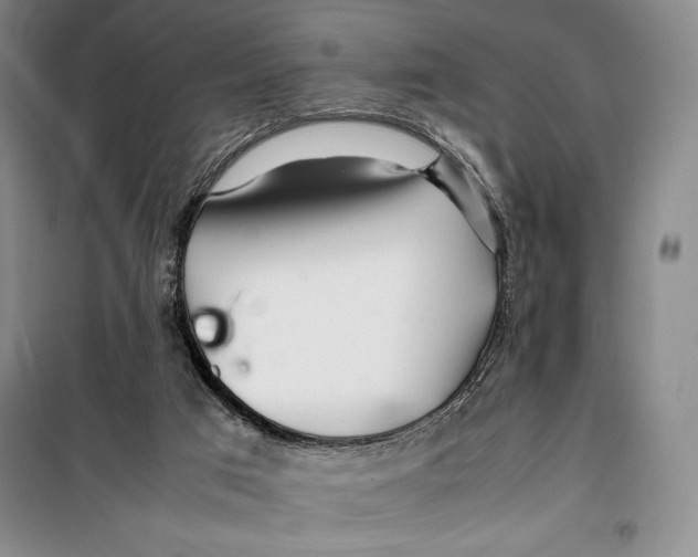 X0000099460017200806061140