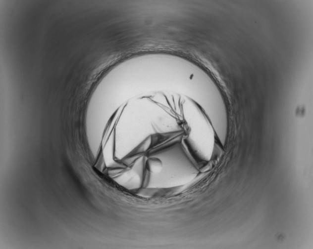 X0000099460019200806061140