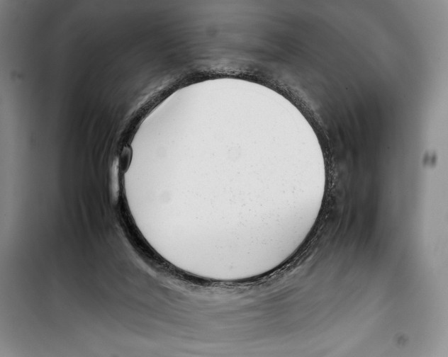 X0000099460020200806061140