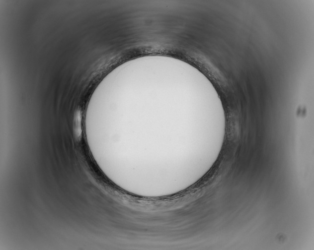 X0000099460022200806061140