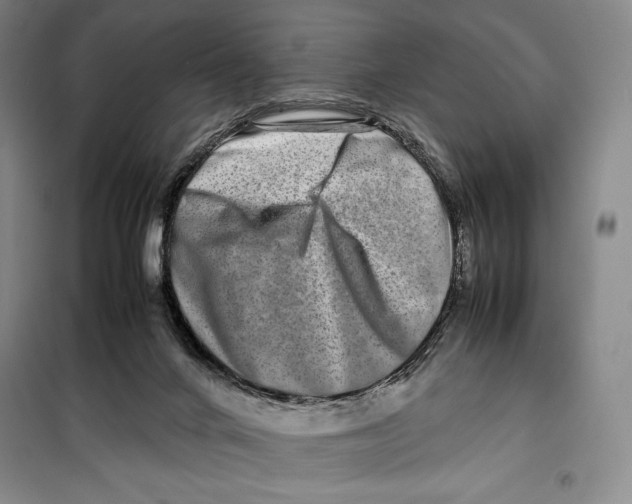 X0000099460024200806061140