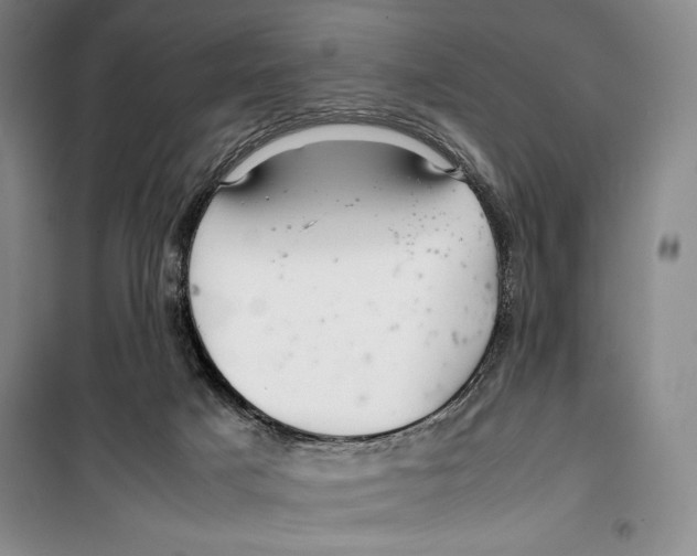 X0000099460025200806061140