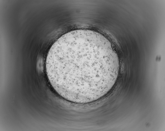 X0000099460026200806061140