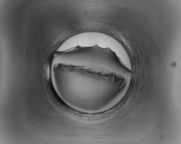 X0000099460027200806061140