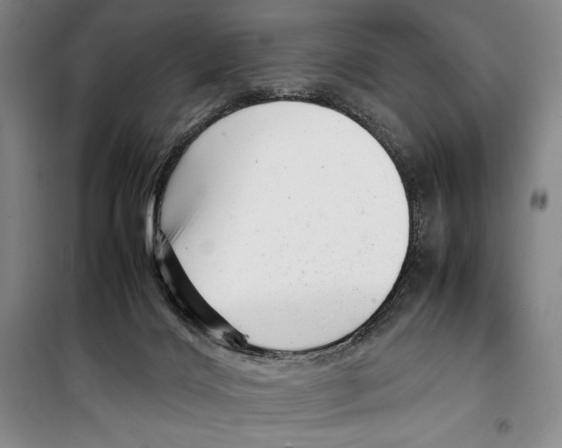 X0000099460028200806061140