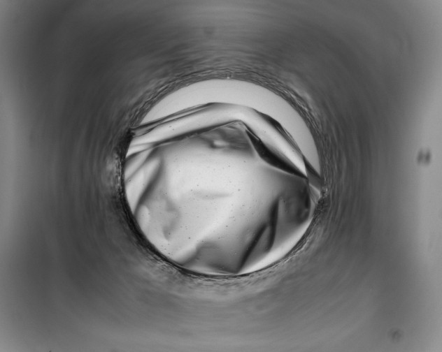 X0000099460029200806061140