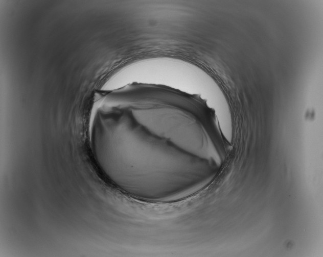 X0000099460031200806061140