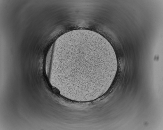 X0000099460032200806061140