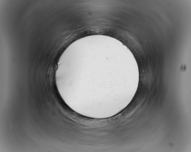 X0000099460036200806061139