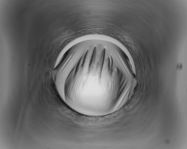 X0000099460037200806061139