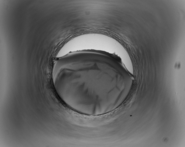 X0000099460039200806061139