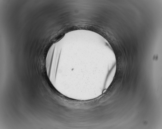 X0000099460040200806061139