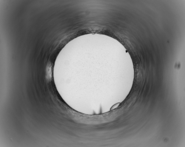 X0000099460042200806061139