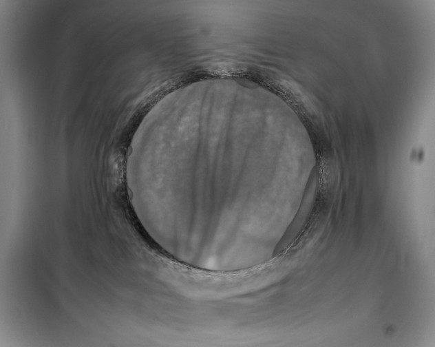 X0000099460043200806061139