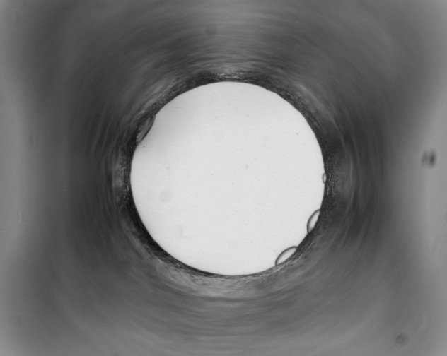 X0000099460044200806061139