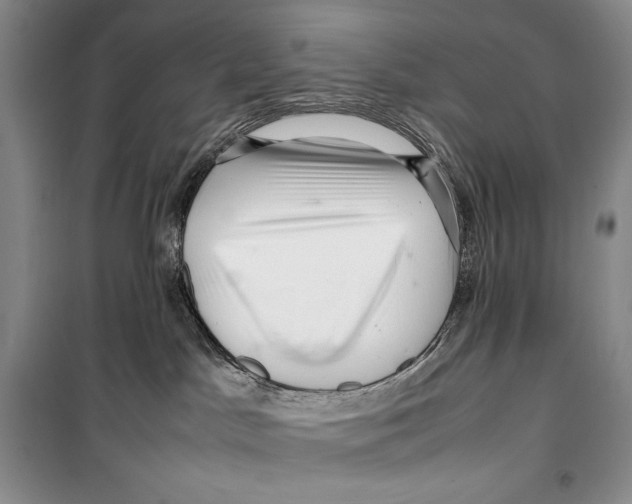 X0000099460045200806061139