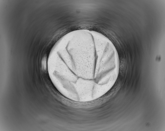 X0000099460046200806061139