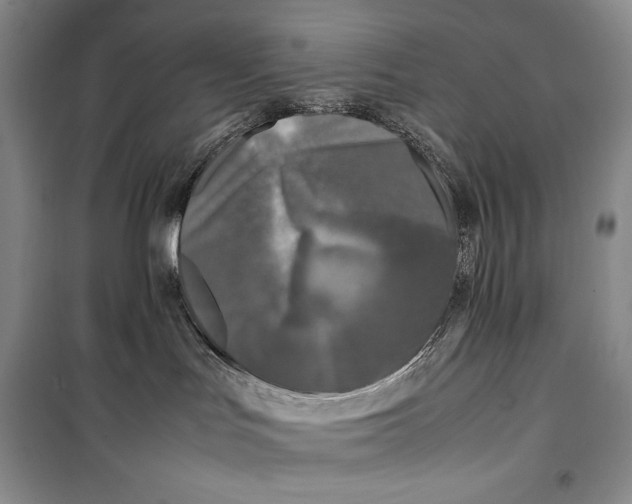 X0000099460047200806061139