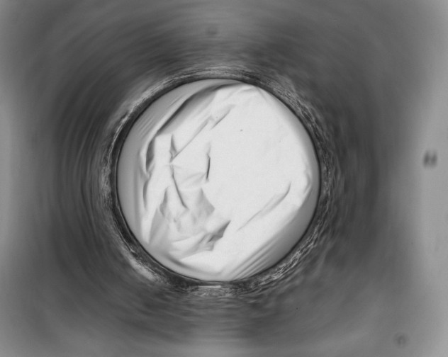 X0000099460050200806061138