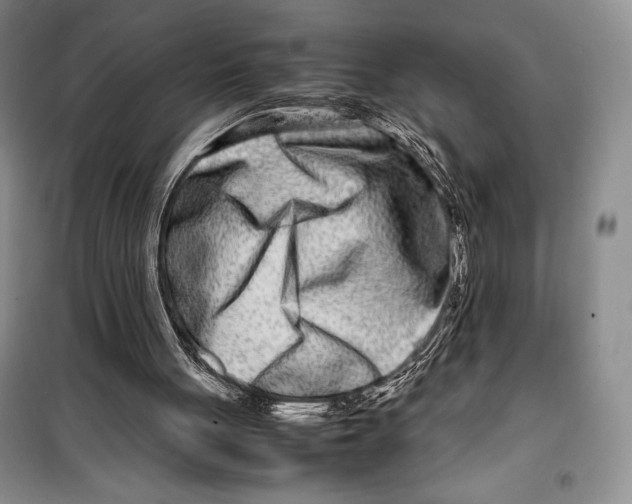 X0000099460051200806061138