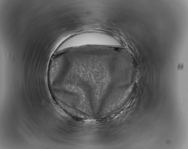 X0000099460052200806061138