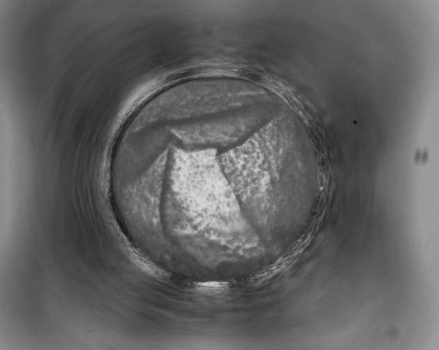 X0000099460053200806061139