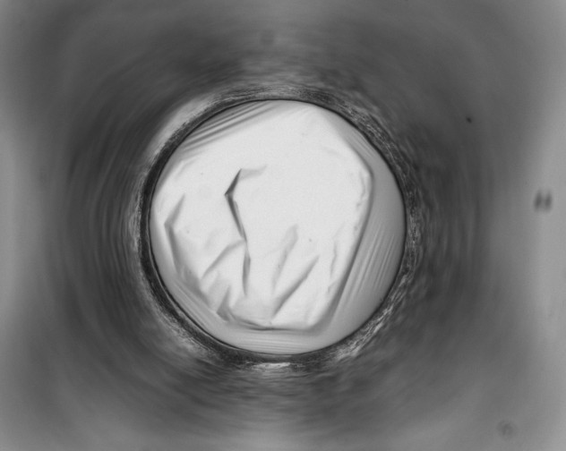 X0000099460054200806061139