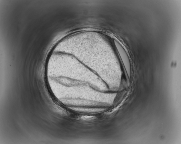 X0000099460055200806061139