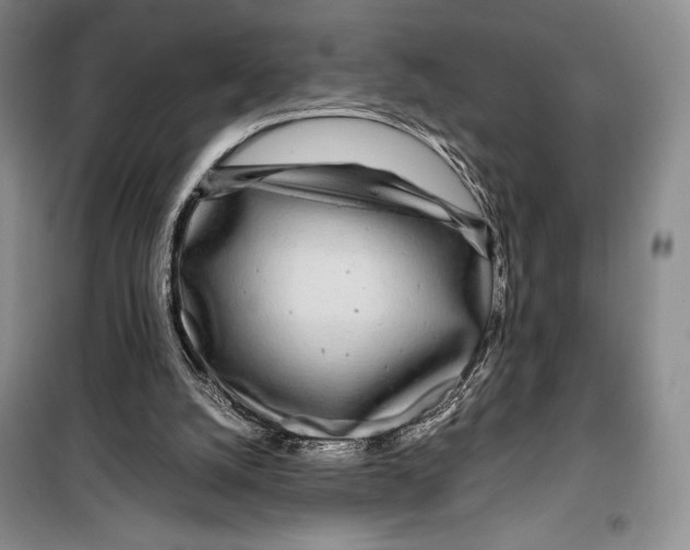 X0000099460056200806061139