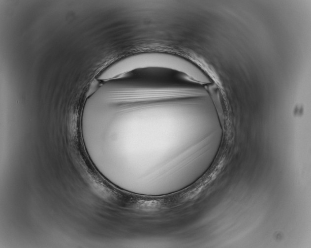 X0000099460057200806061139