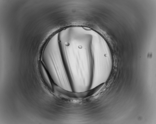 X0000099460060200806061139