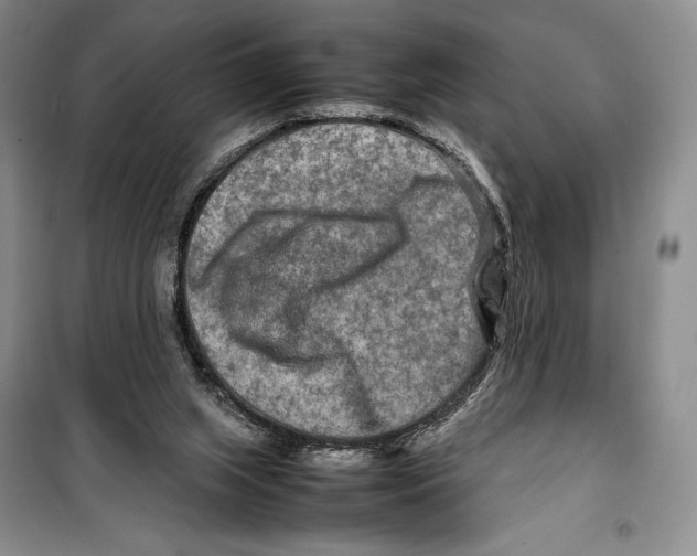 X0000099460063200806061139