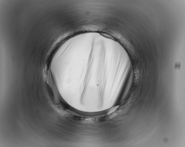 X0000099460064200806061139