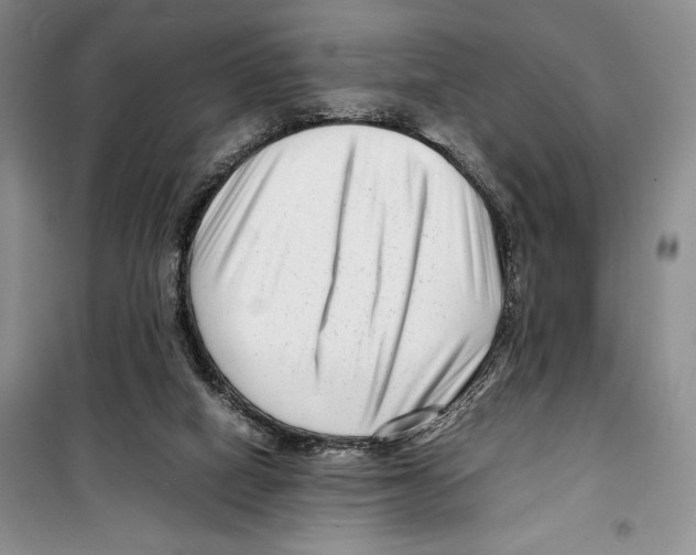 X0000099460066200806061139