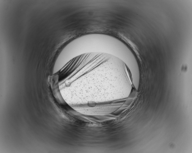 X0000099460067200806061139