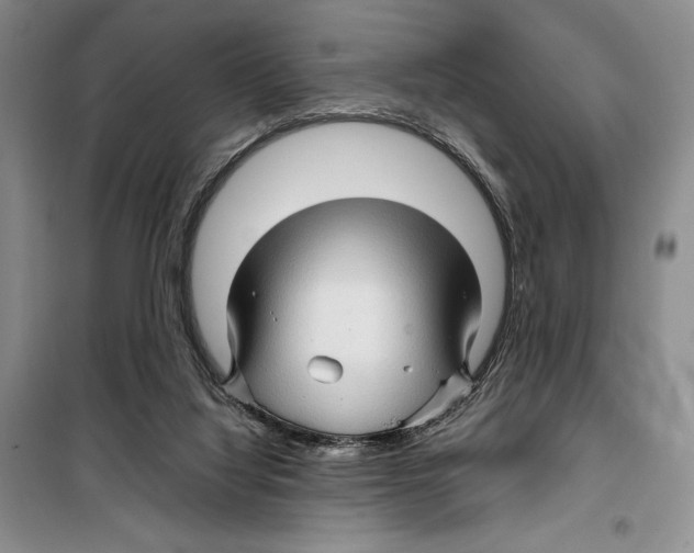 X0000099460068200806061139