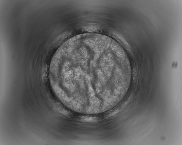 X0000099460073200806061139